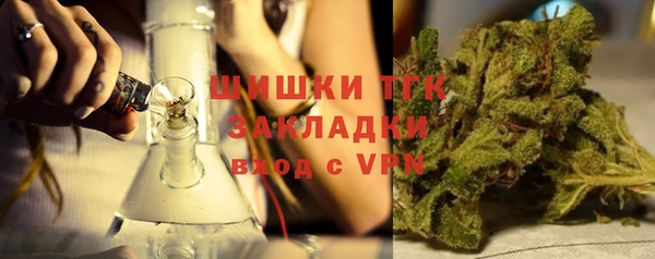 стаф Сясьстрой
