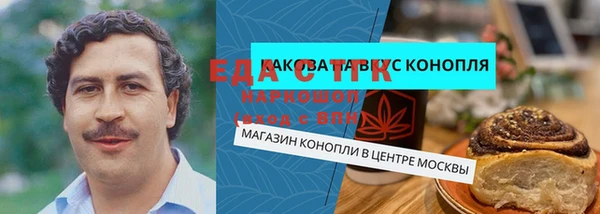 стаф Сясьстрой