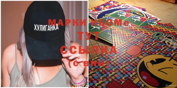 стаф Сясьстрой