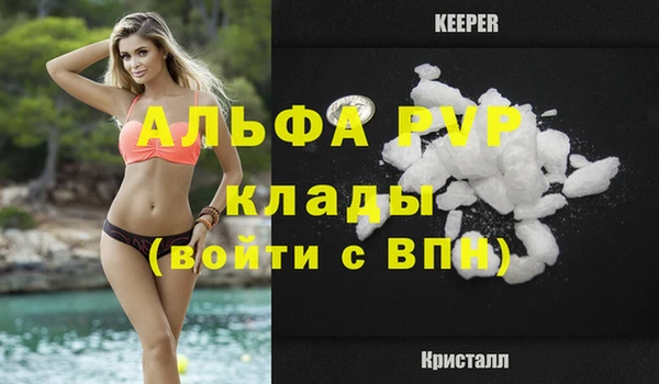 стаф Сясьстрой