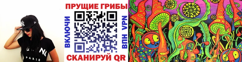 где найти   Тюмень  Галлюциногенные грибы GOLDEN TEACHER 