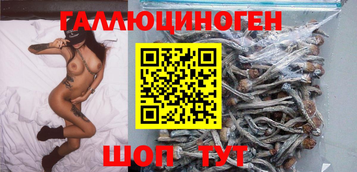 Галлюциногенные грибы Cubensis Тюмень