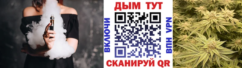 где найти   Тюмень  Каннабис индика 